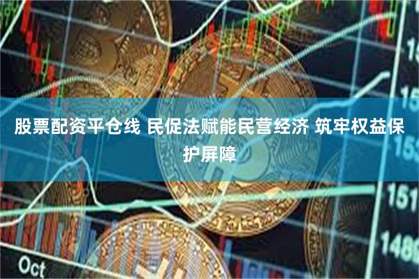 股票配资平仓线 民促法赋能民营经济 筑牢权益保护屏障