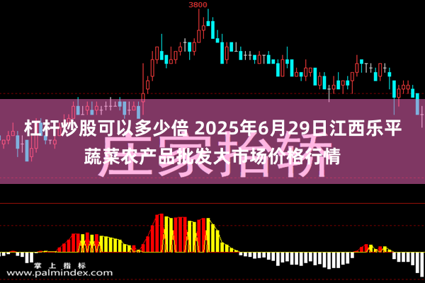 杠杆炒股可以多少倍 2025年6月29日江西乐平蔬菜农产品批发大市场价格行情