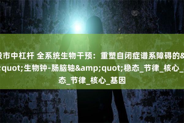 股市中杠杆 全系统生物干预：重塑自闭症谱系障碍的&quot;生物钟-肠脑轴&quot;稳态_节律_核心_基因