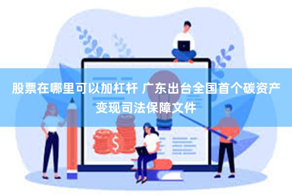 股票在哪里可以加杠杆 广东出台全国首个碳资产变现司法保障文件