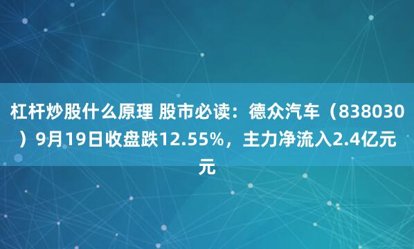 杠杆炒股什么原理 股市必读:德众汽车(838030)9月19日收盘跌12.55%,主力净流入2.4亿元