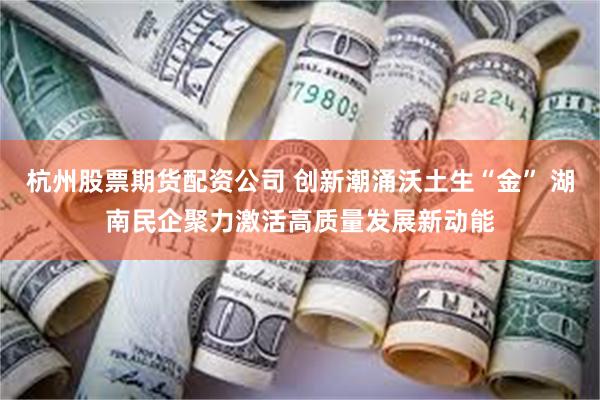 杭州股票期货配资公司 创新潮涌沃土生“金” 湖南民企聚力激活高质量发展新动能