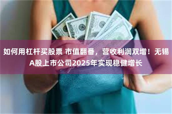 如何用杠杆买股票 市值翻番，营收利润双增！无锡A股上市公司2025年实现稳健增长