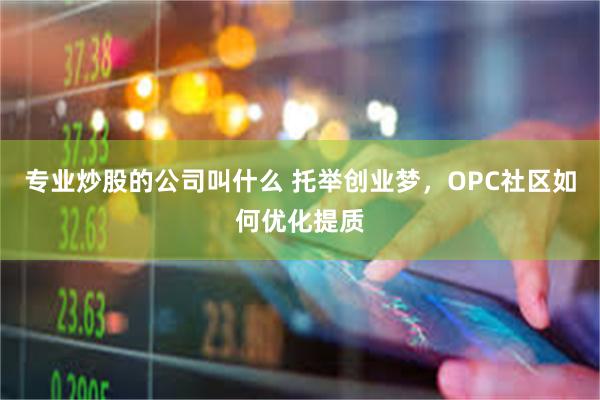 专业炒股的公司叫什么 托举创业梦，OPC社区如何优化提质