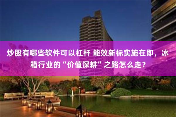 炒股有哪些软件可以杠杆 能效新标实施在即，冰箱行业的“价值深耕”之路怎么走？