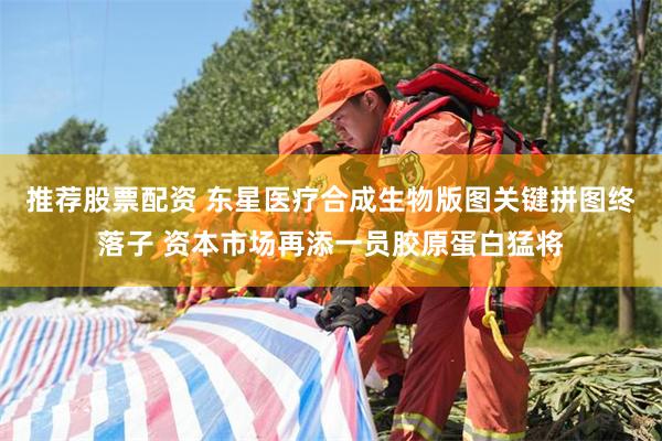 推荐股票配资 东星医疗合成生物版图关键拼图终落子 资本市场再添一员胶原蛋白猛将