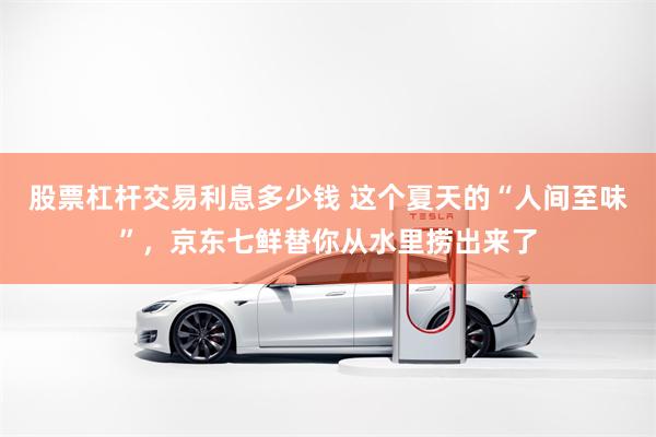 股票杠杆交易利息多少钱 这个夏天的“人间至味”，京东七鲜替你从水里捞出来了