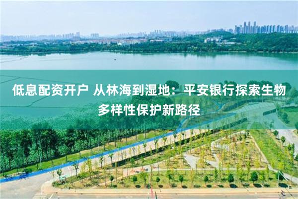 低息配资开户 从林海到湿地：平安银行探索生物多样性保护新路径