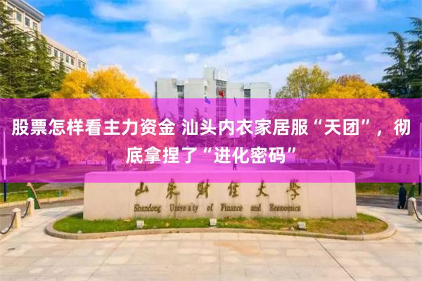股票怎样看主力资金 汕头内衣家居服“天团”，彻底拿捏了“进化密码”