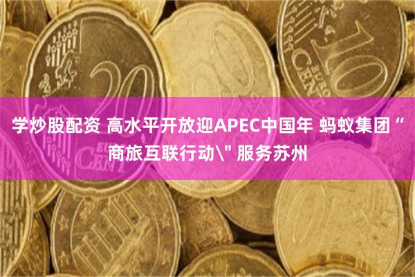 学炒股配资 高水平开放迎APEC中国年 蚂蚁集团“商旅互联行动