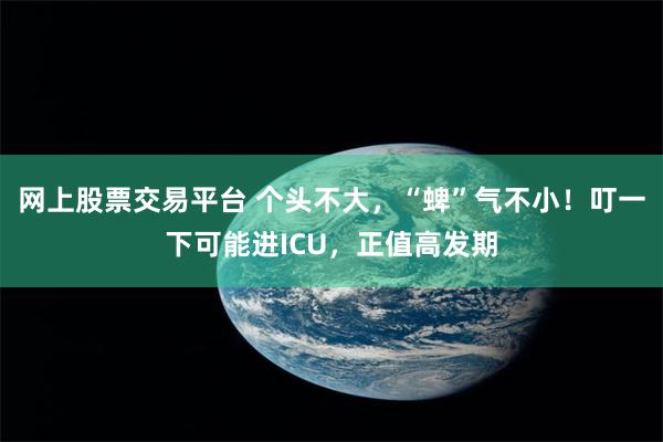 网上股票交易平台 个头不大，“蜱”气不小！叮一下可能进ICU，正值高发期