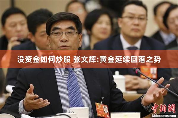 没资金如何炒股 张文辉:黄金延续回落之势
