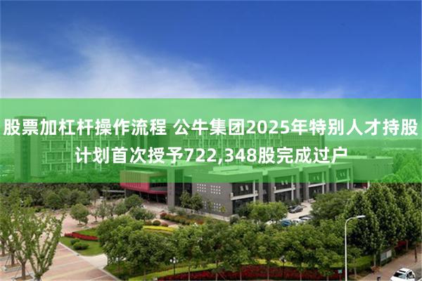股票加杠杆操作流程 公牛集团2025年特别人才持股计划首次授予722,348股完成过户