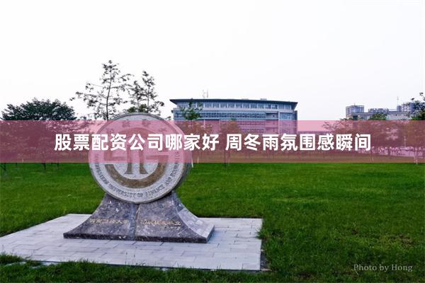 股票配资公司哪家好 周冬雨氛围感瞬间