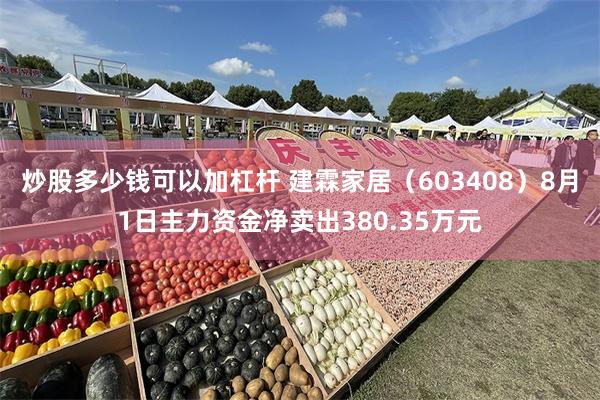 炒股多少钱可以加杠杆 建霖家居（603408）8月1日主力资金净卖出380.35万元