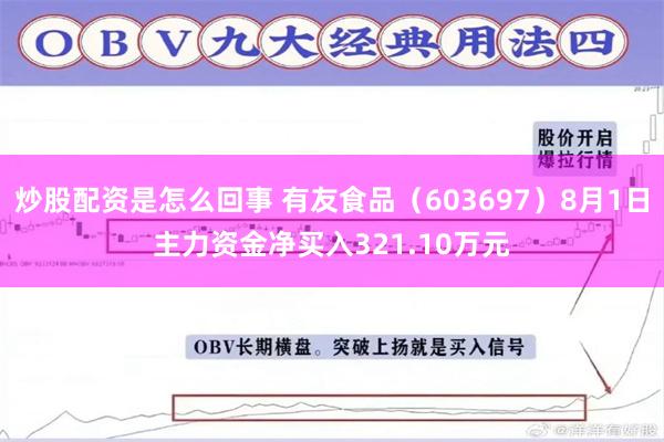 炒股配资是怎么回事 有友食品（603697）8月1日主力资金净买入321.10万元