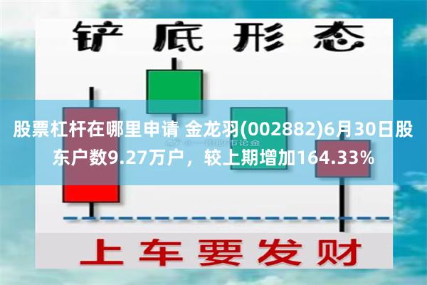 股票杠杆在哪里申请 金龙羽(002882)6月30日股东户数9.27万户，较上期增加164.33%